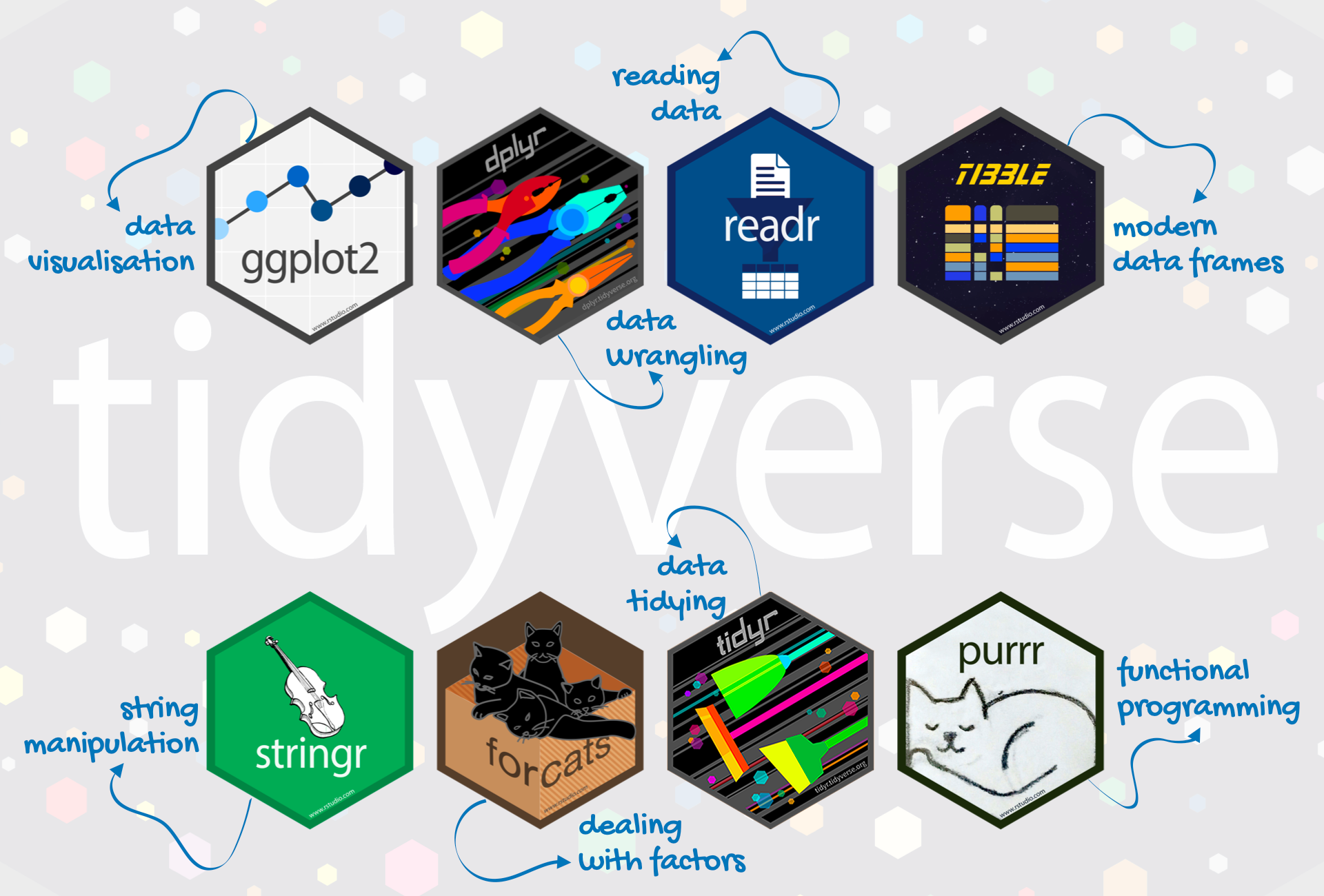 tidyverse hex sticker